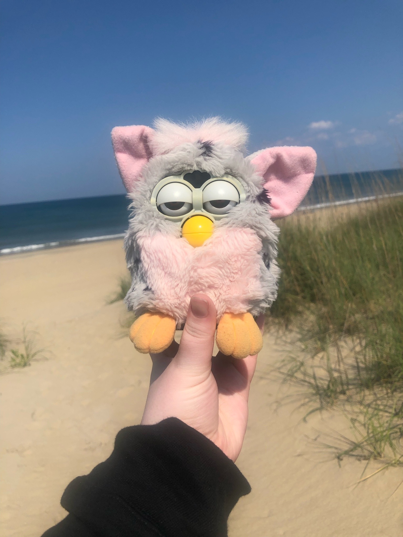 a picture of a furby being held by a person's hand in a hoodie at the beach